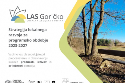 Regijska fokusna skupina nevladnih organizacij Pomurja