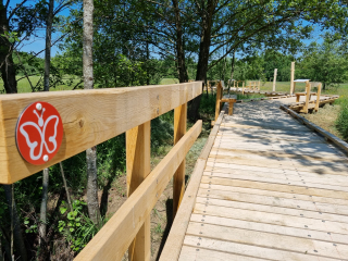 Občina Moravske Toplice