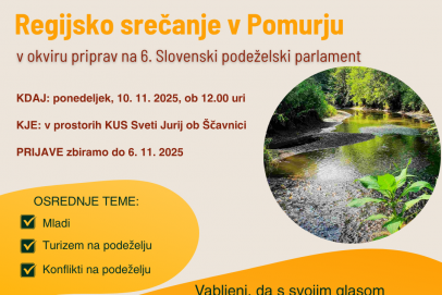 Regijsko srečanje - priprave na 6. SPP