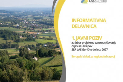 Informativna delavnica
