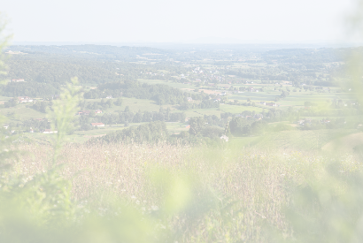 Projekti, izbrani na podlagi javnih pozivov